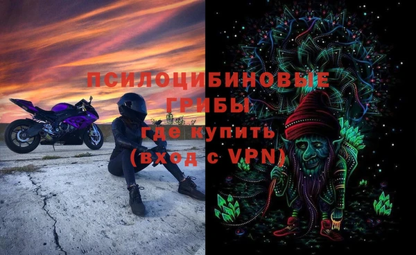 ГАЛЛЮЦИНОГЕННЫЕ ГРИБЫ Богородицк