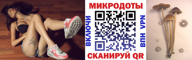 Галлюциногенные грибы мицелий  Купить  Балабаново 